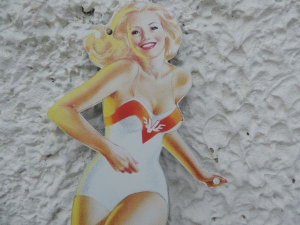 PIN UP VEEDOL