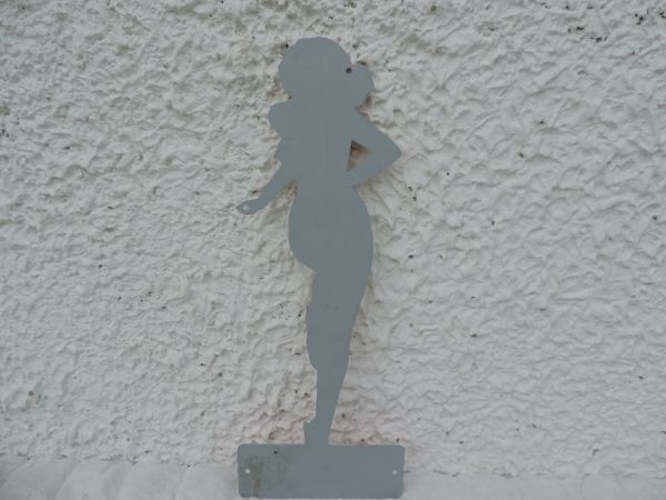 PIN UP VEEDOL