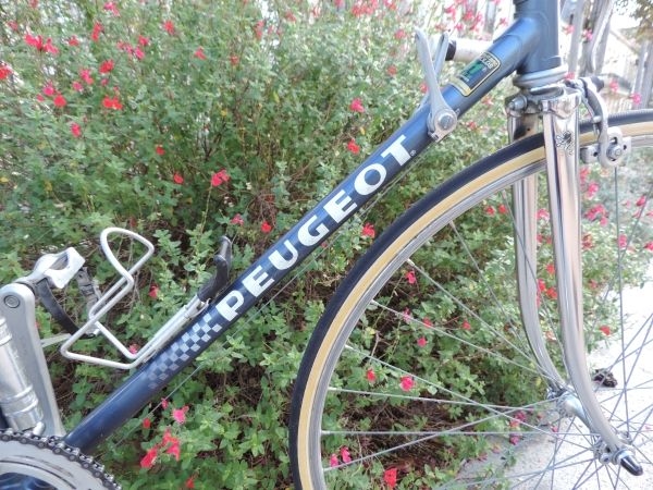 Peugeot - course