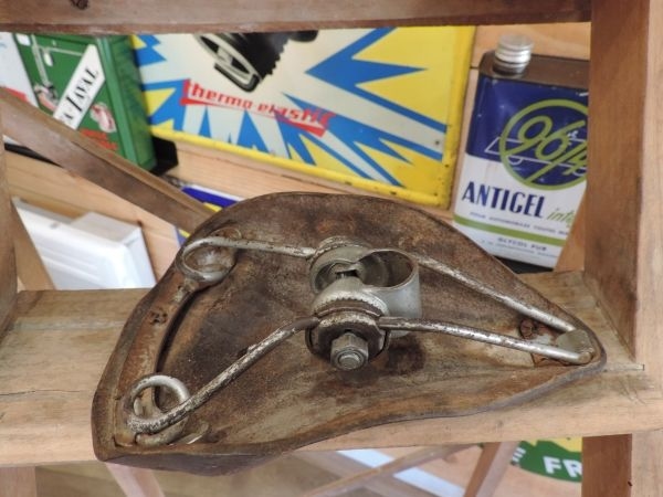 Selle Lionrône