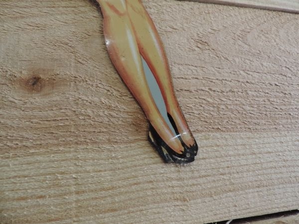 Pin-up Igol